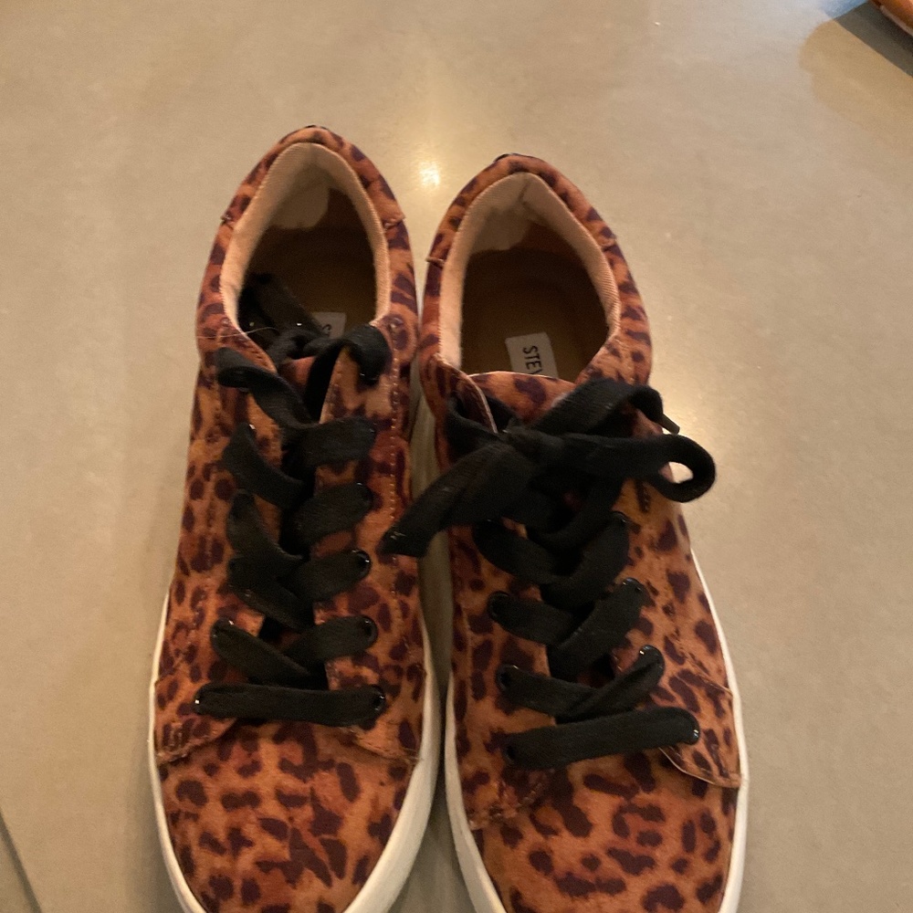 Sneakers Steve Madden